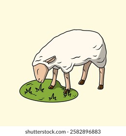 The white lamb eating grass