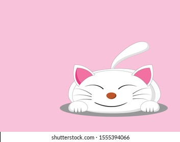white lazy cat sleep on pink background