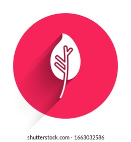 White Leaf icon isolated with long shadow. Leaves sign. Fresh natural product symbol. Red circle button. Vector Illustration