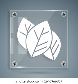 White Leaf icon isolated on grey background. Leaves sign. Fresh natural product symbol. Square glass panels. Vector Illustration