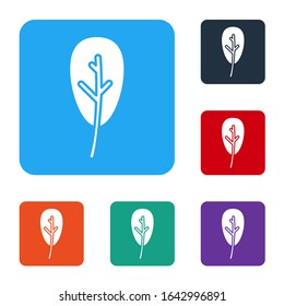 White Leaf icon isolated on white background. Leaves sign. Fresh natural product symbol. Set icons in color square buttons. Vector Illustration