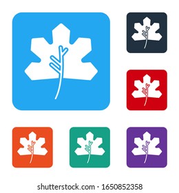 White Leaf icon isolated on white background. Leaves sign. Fresh natural product symbol. Set icons in color square buttons. Vector Illustration