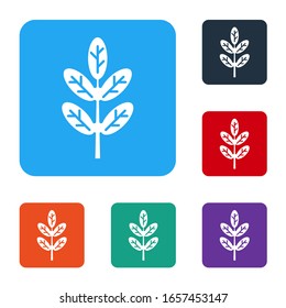 White Leaf icon isolated on white background. Leaves sign. Fresh natural product symbol. Set icons in color square buttons. Vector Illustration