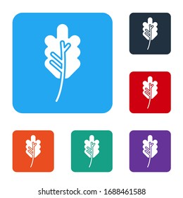 White Leaf icon isolated on white background. Leaves sign. Fresh natural product symbol. Set icons in color square buttons. Vector Illustration