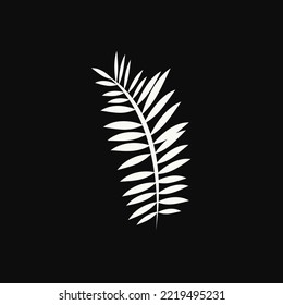 White leaf isolated on black background.