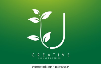 White Leaf Letter U Logo Design with Leaves on a Branch and Green Background. Letter U with nature concept. Eco and Organic Letter Vector Illustration. 