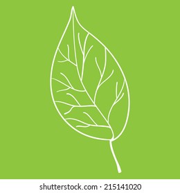 White leaf on green background