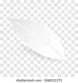 white leaf paper cut style transparent background.digital craft.vector.illustration.