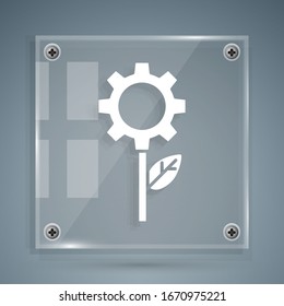 White Leaf plant ecology in gear machine icon isolated on grey background. Eco friendly technology. World Environment day label. Square glass panels. Vector Illustration