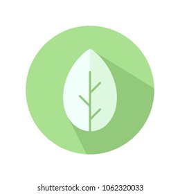 White leaf sign on round green background with shadow; flat vector leaf icon. 