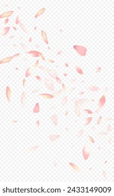 White Leaf Vector Transparent Background. Heart Flutter Design. Lotus Air Texture. Peach Nature Poster. Color Confetti Fly Banner.