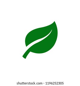 White leave illustration isolated on white background. Trendy Flat style for graphic design, Web site, UI. EPS10. - Vector illustration