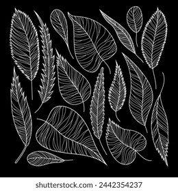 White leaves line work. Isolated on black background. Hand drawn line vector illustration.