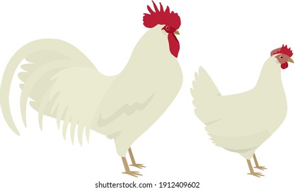 3,437 Leghorn Images, Stock Photos & Vectors | Shutterstock