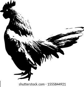 White leghorn rooster vector illustration.