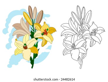 White lilies