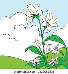 White Lilies Blooming on a Sunny Hillside, illustration with a natural concept in flat style