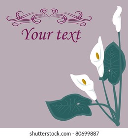 White lilies on a gray background.  Basic elements are grouped.