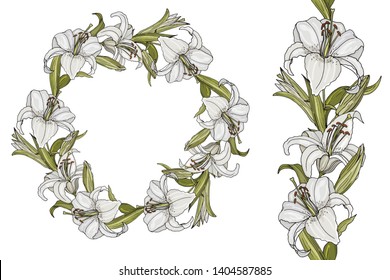 White Lilli isolated on white. Decor ative elements and border made of Lillies. Vector illustration