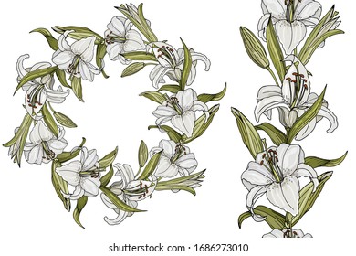 White Lilly isolated on white. Decorative elements and border made of Lillies. Vector illustration