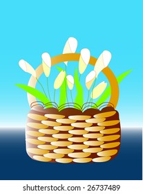 a white lily basket