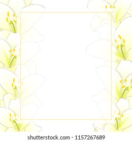 White Lily Flower Banner Card Border. Vector Illustration.