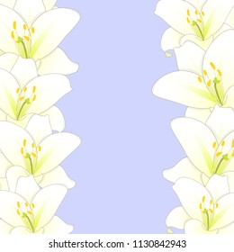 White Lily Flower Border isolated on Purple Background. Vector Illustration.