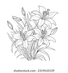 White lily isolated on a white background. Cute hand drawn flower vector illustration in black outline and black plane on white background