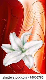 white lily on a red-orange background decorated with a pattern of dark-red curves