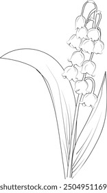 White Lily of the Valley is a charming, spreading ground cover, with stems of sweetly fragrant bell-shaped flowers coloring pages