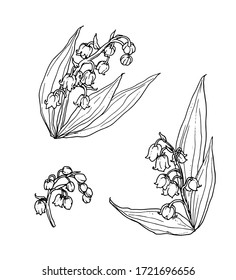 White lily of the valley spring flower. Isolated vector botanical illustration set: retro, vintage, hand drawn, black and white, outline. For wedding invitation, card, print, tattoo. Japanese style.