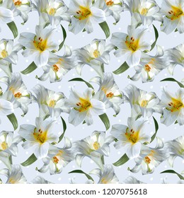 White Lily Vector Illustration Seamless Pattern