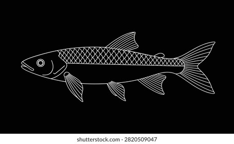 White line art scaled