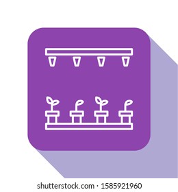 White line Automatic irrigation sprinklers icon isolated on white background. Watering equipment. Garden element. Spray gun icon. Purple square button. Vector Illustration