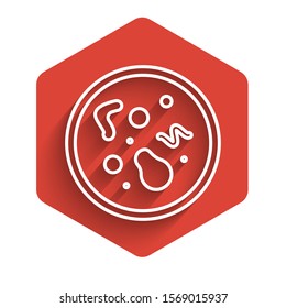 White line Bacteria icon isolated with long shadow. Bacteria and germs, microorganism disease causing, cell cancer, microbe, virus, fungi. Red hexagon button. Vector Illustration