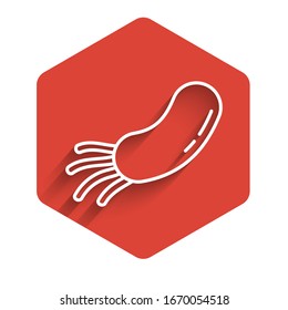 White line Bacteria icon isolated with long shadow. Bacteria and germs, microorganism disease causing, cell cancer, microbe, virus, fungi. Red hexagon button. Vector Illustration