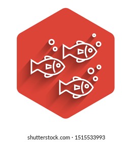 White line Fish icon isolated with long shadow. Red hexagon button. Vector Illustration