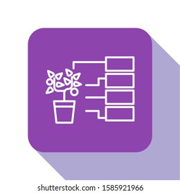 White line Flower analysis icon isolated on white background. Purple square button. Vector Illustration