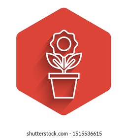 White line Flower in pot icon isolated with long shadow. Plant growing in a pot. Potted plant sign. Red hexagon button. Vector Illustration
