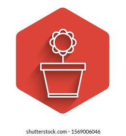 White line Flower in pot icon isolated with long shadow. Plant growing in a pot. Potted plant sign. Red hexagon button. Vector Illustration