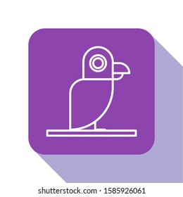 White line Pirate parrot icon isolated on white background. Purple square button. Vector Illustration