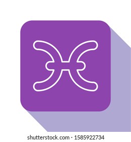 White line Pisces zodiac sign icon isolated on white background. Astrological horoscope collection. Purple square button. Vector Illustration