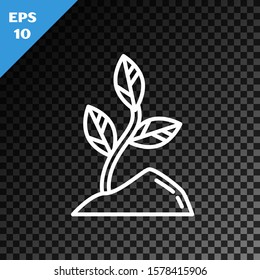 White line Sprout icon isolated on transparent dark background. Seed and seedling. Leaves sign. Leaf nature.  Vector Illustration