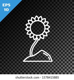 White line Sunflower icon isolated on transparent dark background.  Vector Illustration