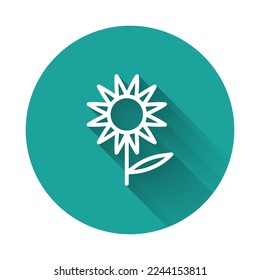 White line Sunflower icon isolated with long shadow. Green circle button. Vector