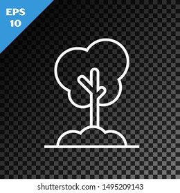 White line Tree in the ground icon isolated on transparent dark background. Forest symbol.  Vector Illustration