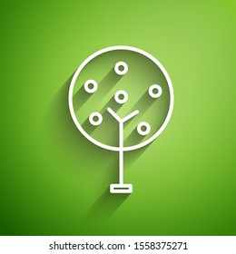 White line Tree icon isolated on green background. Forest symbol.  Vector Illustration