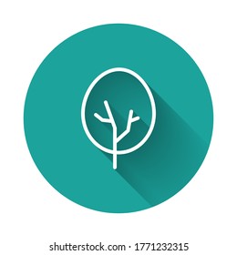 Icono de árbol de línea blanca aislado con una sombra larga. Símbolo de bosque. Botón Círculo verde. Vector