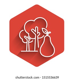 White line Tree with pears icon isolated with long shadow. Agricultural plant. Organic farm product. Gardening theme. Red hexagon button. Vector Illustration