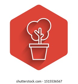 White line Tree in pot icon isolated with long shadow. Houseplant in pots. Natural decor for home and interior. Potted plant sign. Red hexagon button. Vector Illustration